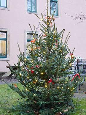Urlaub über Weihnachten in Dresden an der Elbe, Weihnachtsurlaub in der Nähe der Sächsischen Schweiz