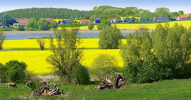 Urlaub ber Weihnachten in Mecklenburg-Vorpommern. Weihnachts-Kurzurlaub am Rande des Naturschutzgebietes Lewitz.