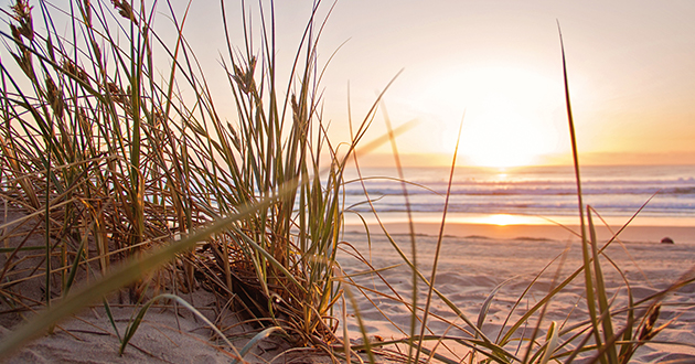 Urlaub ber Weihnachten an der Ostsee. Weihnachtsurlaub im Ostseebad, zwischen Eckernfrde, Flensburg, Kiel, Schleswig und Rendsburg an der Ostseekste