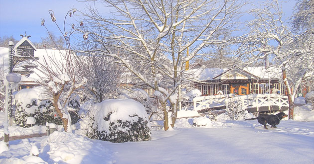 Urlaub ber Weihnachten in der Lneburger Heide. Weihnachtskurzurlaub in der Weltvogelparkstadt Walsrode im Heidekreis.