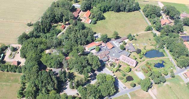 Urlaub ber Weihnachten in der Lneburger Heide. Weihnachtskurzurlaub in der Weltvogelparkstadt Walsrode im Heidekreis.