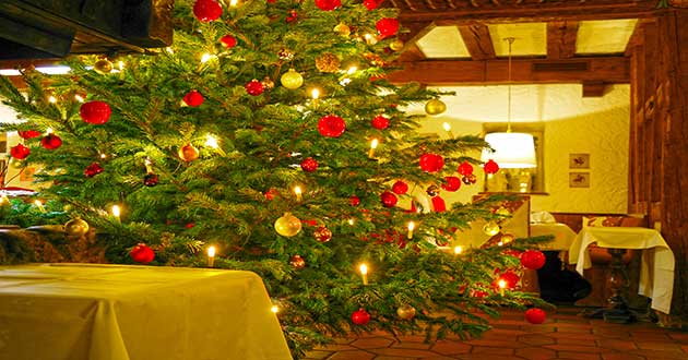 Urlaub ber Weihnachten am Bodensee, Weihnachtsurlaub in berlingen zwischen Meersburg, Blumeninsel Mainau, Konstanz, Radolfzell, Gemseinsel Reichenau, Friedrichshafen, Singen, Ravensburg, Stein am Rhein, Rheinfall bei Schaffhausen, Lindau und Bregenz 