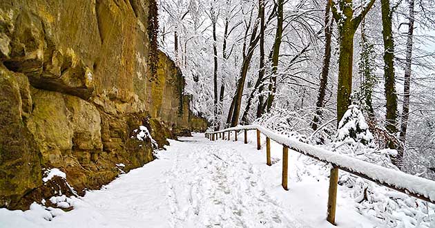 Urlaub ber Weihnachten am Bodensee, Weihnachtsurlaub in berlingen zwischen Meersburg, Blumeninsel Mainau, Konstanz, Radolfzell, Gemseinsel Reichenau, Friedrichshafen, Singen, Ravensburg, Stein am Rhein, Rheinfall bei Schaffhausen, Lindau und Bregenz 